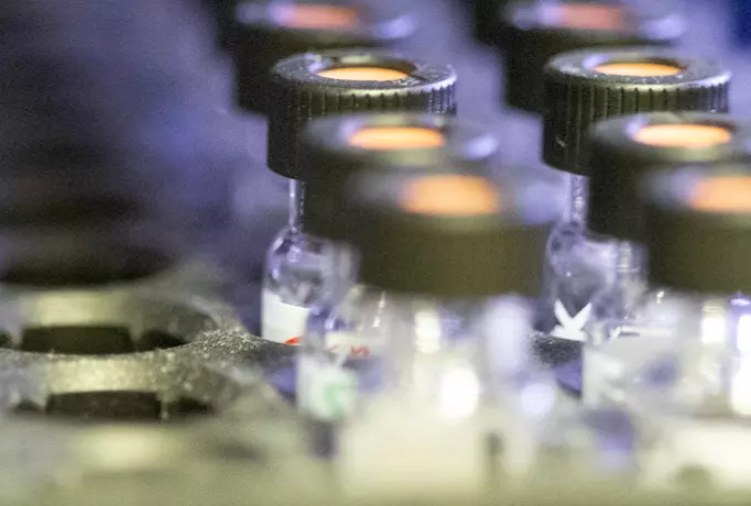 vials lids